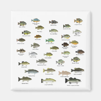 North America Sunfish Family Group Magneet