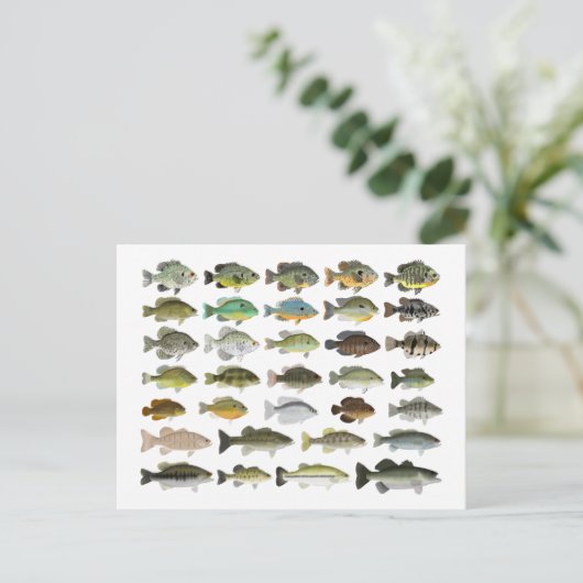 North America Sunfish Group Briefkaart (Staand voorkant)