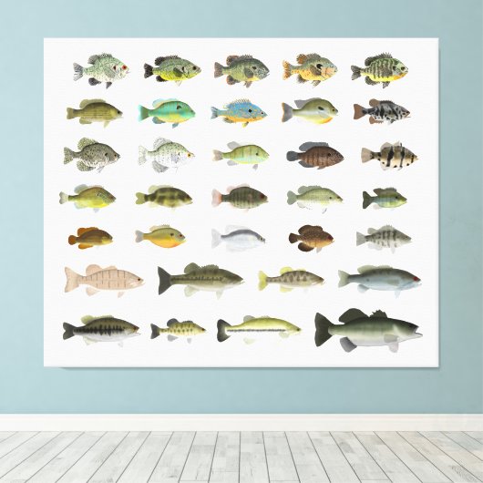 North America Sunfish Group Canvas Afdruk (Insitu (Houten vloer))