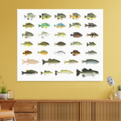 North America Sunfish Group Canvas Afdruk (Insitu (Woonkamer))