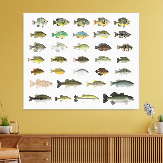 North America Sunfish Group Canvas Afdruk (Insitu (Woonkamer))