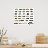 North America Sunfish Group Poster (Keuken)