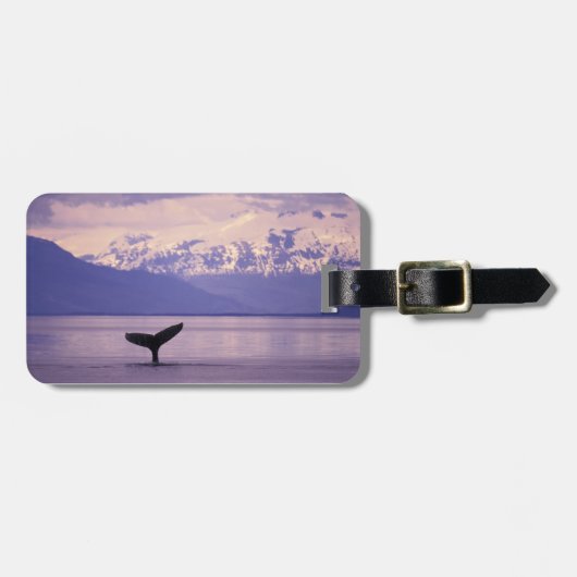 North America, USA, Alaska, Inside Passage. Bagagelabel (Voorkant horizontaal)