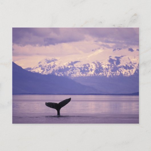 North America, USA, Alaska, Inside Passage. Briefkaart (Voorkant)