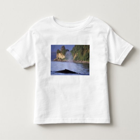 North America, USA, Alaska, Inside Passage. Kinder Shirts (Voorkant)
