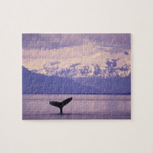 North America, USA, Alaska, Inside Passage. Legpuzzel