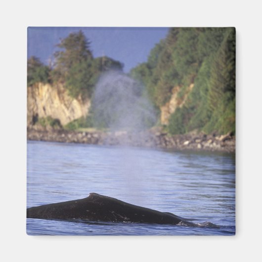 North America, USA, Alaska, Inside Passage. Magneet (Voorkant)