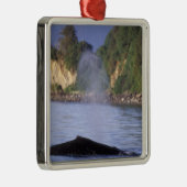 North America, USA, Alaska, Inside Passage. Metalen Ornament (Rechts)