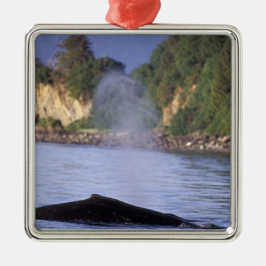 North America, USA, Alaska, Inside Passage. Metalen Ornament (Voorkant)