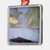 North America, USA, Alaska, Inside Passage. Metalen Ornament (Links)