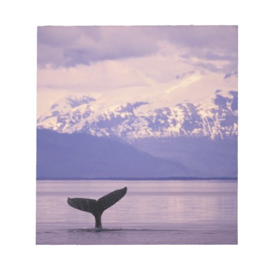 North America, USA, Alaska, Inside Passage. Notitieblok (Voorkant)