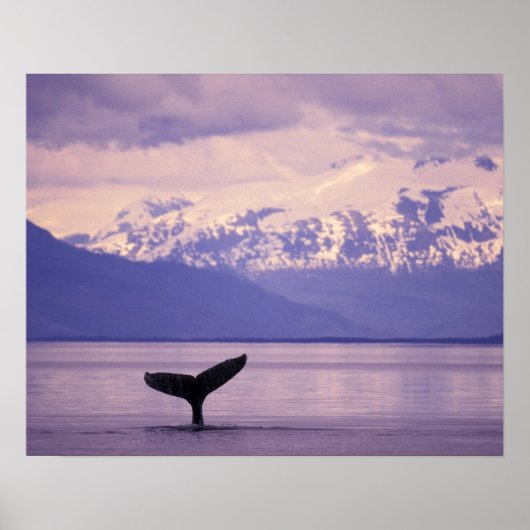 North America, USA, Alaska, Inside Passage. Poster (Voorkant)