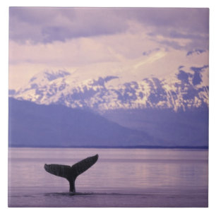 North America, USA, Alaska, Inside Passage. Tegeltje