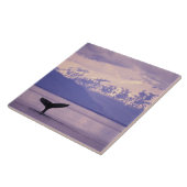 North America, USA, Alaska, Inside Passage. Tegeltje (Zijkant)