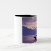 North America, USA, Alaska, Inside Passage. Tweekleurige Koffiemok (Center)