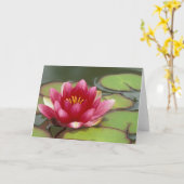 North America, USA, WA, Seattle, Woodland Park Kaart (Gele Bloem)