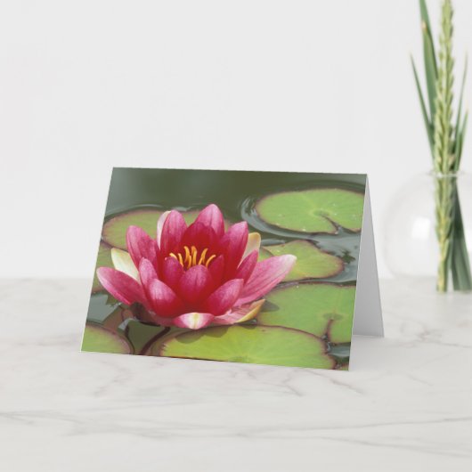 North America, USA, WA, Seattle, Woodland Park Kaart (Voorkant)