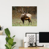 North American Elk Poster (Thuiskantoor)