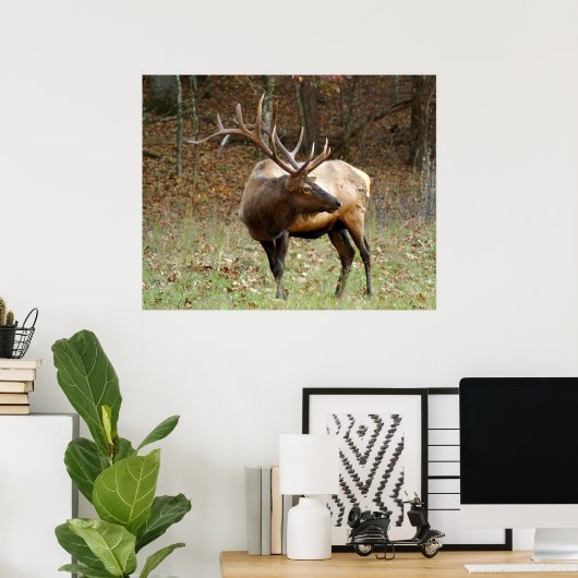 North American Elk Poster (Thuiskantoor)