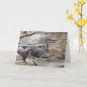 "North American River Otters" Dank u kaart (Gele Bloem)