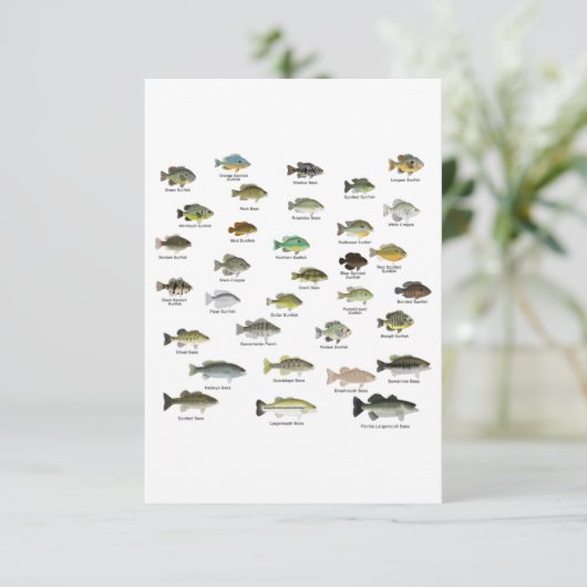 North American Sunfish Group Bedankkaart (Staand voorkant)