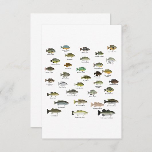 North American Sunfish Group Bedankkaart (Voorkant / Achterkant)