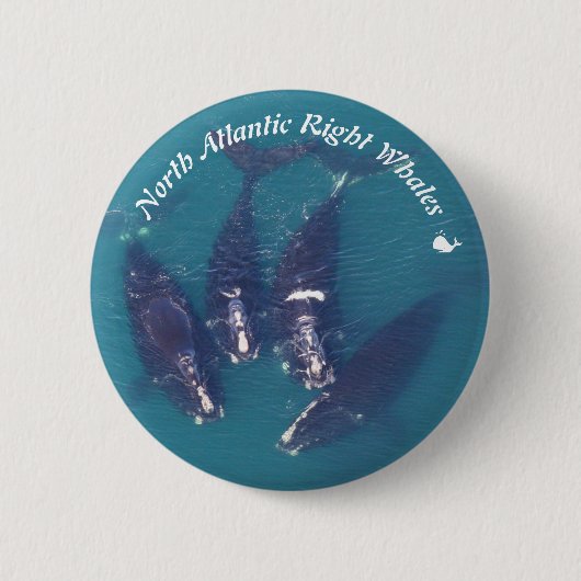 North Atlantic Right Whales beroemd gemaakt door R Ronde Button 5,7 Cm (Voorkant)