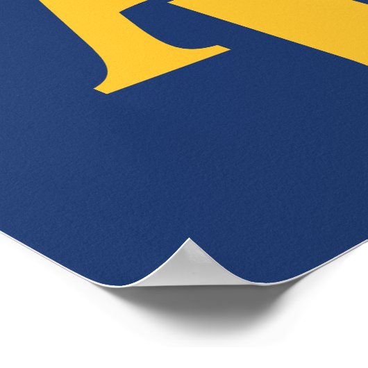 North Carolina A&T State University | A LOGO Poster (Hoek)