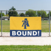 North Carolina A&T State University | A LOGO Spandoek (Insitu)