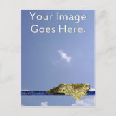 North Carolina Briefkaart (Voorkant)