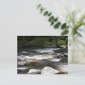 North Carolina Briefkaart (Staand voorkant)