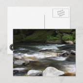 North Carolina Briefkaart (Voorkant / Achterkant)