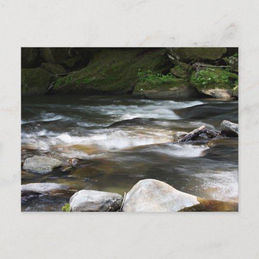 North Carolina Briefkaart (Voorkant)