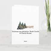 North Carolina Christmas Trees Feestdagen Kaart (Achterkant)