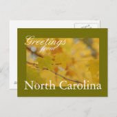 North Carolina Herfst Briefkaart (Voorkant / Achterkant)