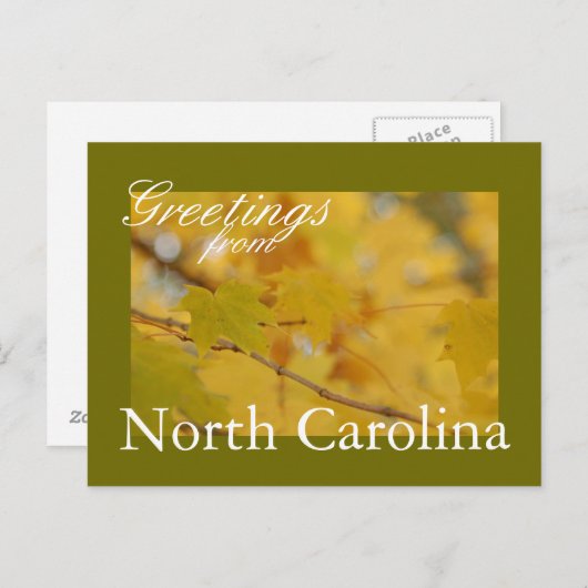 North Carolina Herfst Briefkaart (Voorkant / Achterkant)