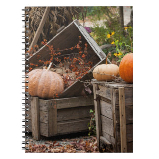 North Carolina, Linville, herfstpompoenen Notitieboek