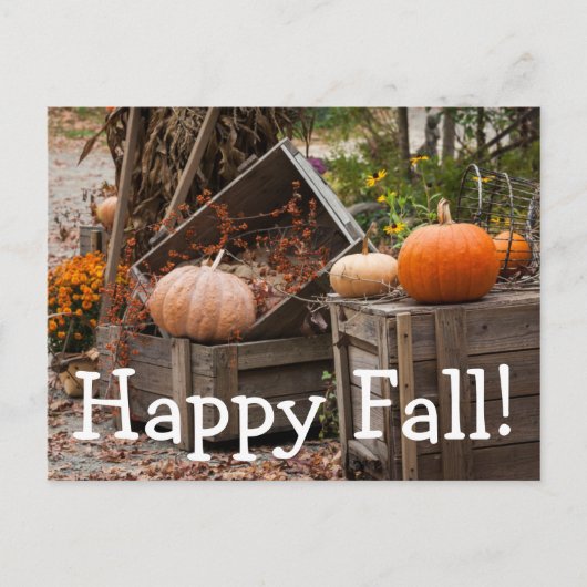 North Carolina, Linville, najaarspompoenen Briefkaart (Voorkant)