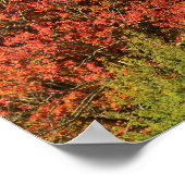 North Carolina Mountains Poster (Hoek)