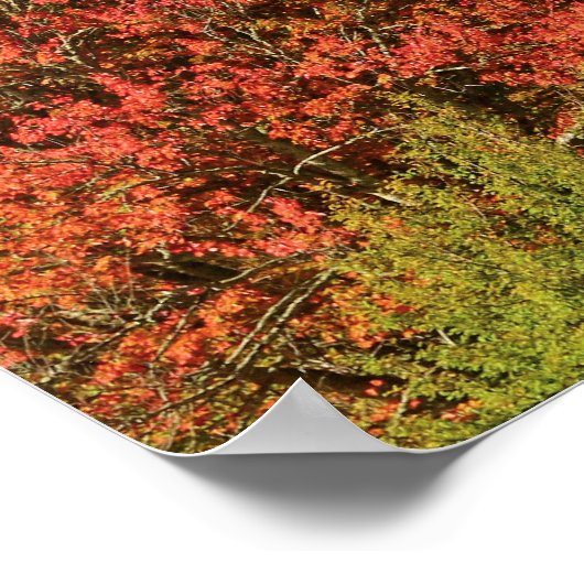 North Carolina Mountains Poster (Hoek)