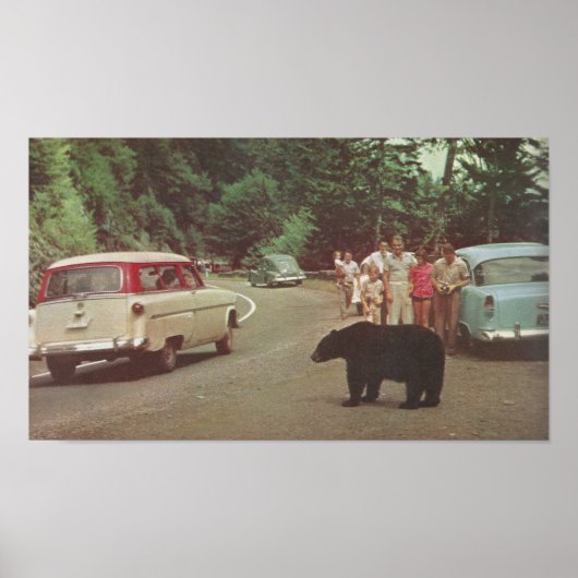 North Carolina Smoky Mountains Poster (Voorkant)