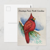 North Carolina State Bird Cardinaal Water Color Briefkaart (Voorkant / Achterkant)
