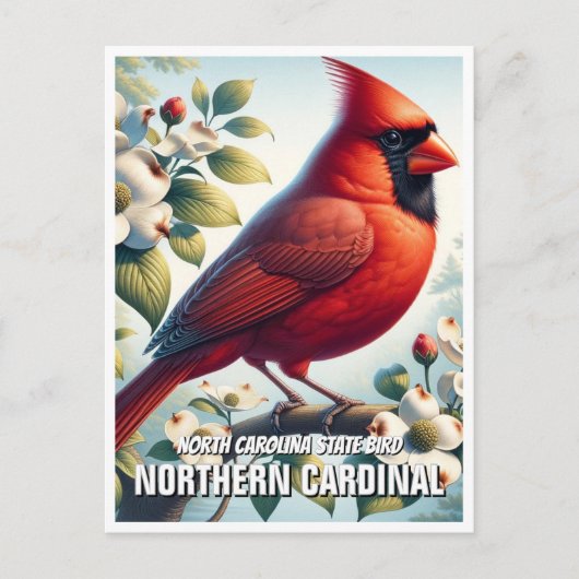 North Carolina State Bird - Noordelijke Kardinaal Briefkaart (Voorkant)