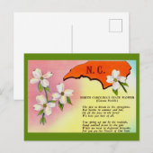 North Carolina State Flower Briefkaart (Voorkant / Achterkant)