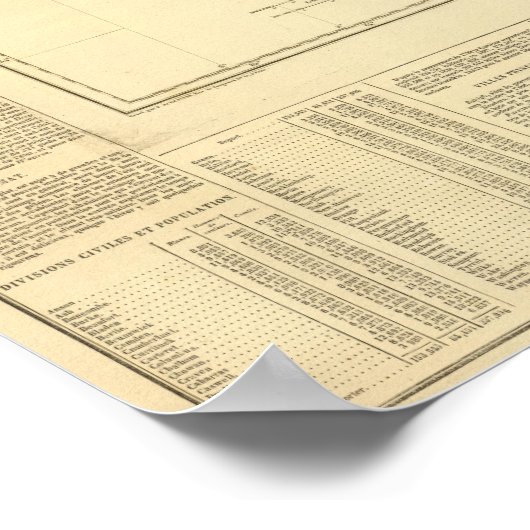 North Carolina US Poster (Hoek)