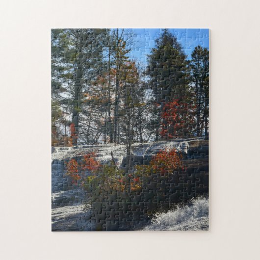 North Carolina Waterfall High Herfsten Fotografie Legpuzzel (Verticaal)
