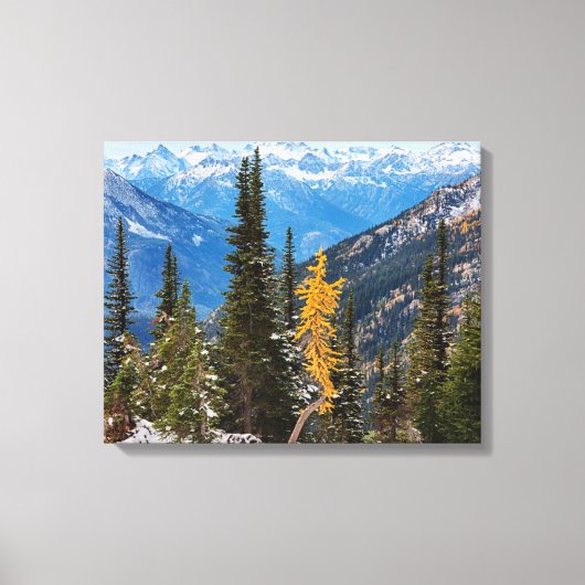 North Cascade Mountains Wenatchee National Forest Canvas Afdruk (Voorkant)