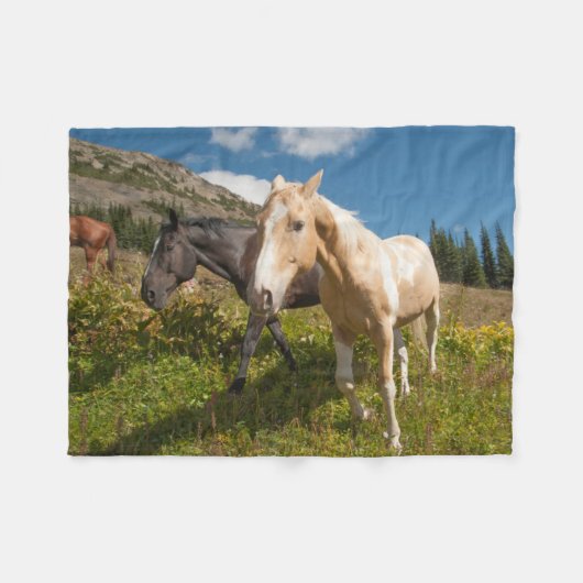 North Cascades National Park Fleece Deken (Voorkant (Horizontaal))