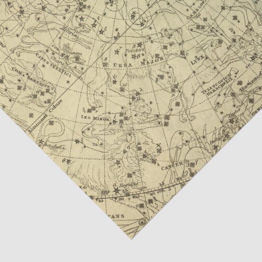 North Celestial Hemisphere Tissuepapier (Detail)