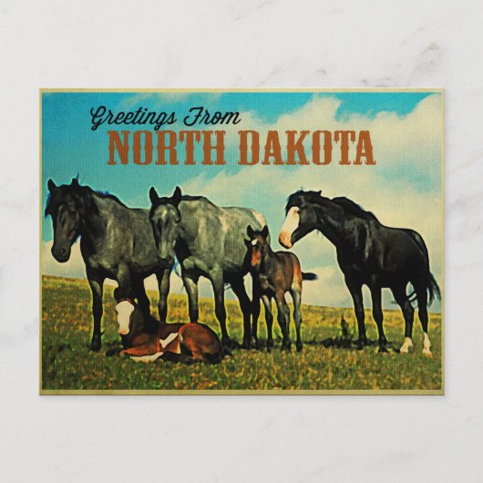North Dakota Nokota Horses Briefkaart (Voorkant)